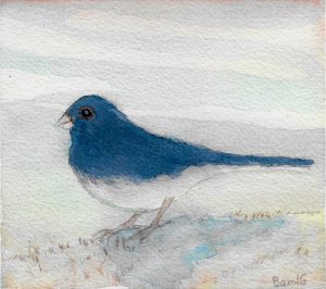 snowbird