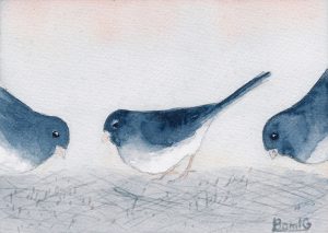 snowbirds