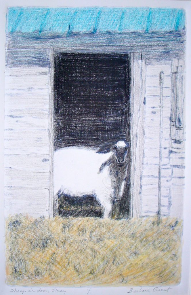 "Sheep in Doorway" artwork