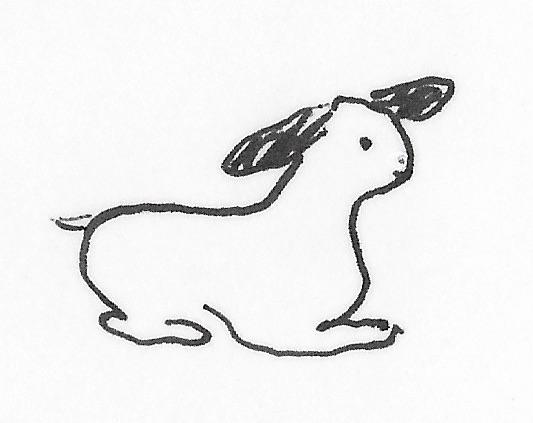 Lamb drawing