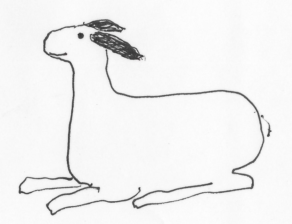 Lamb drawing