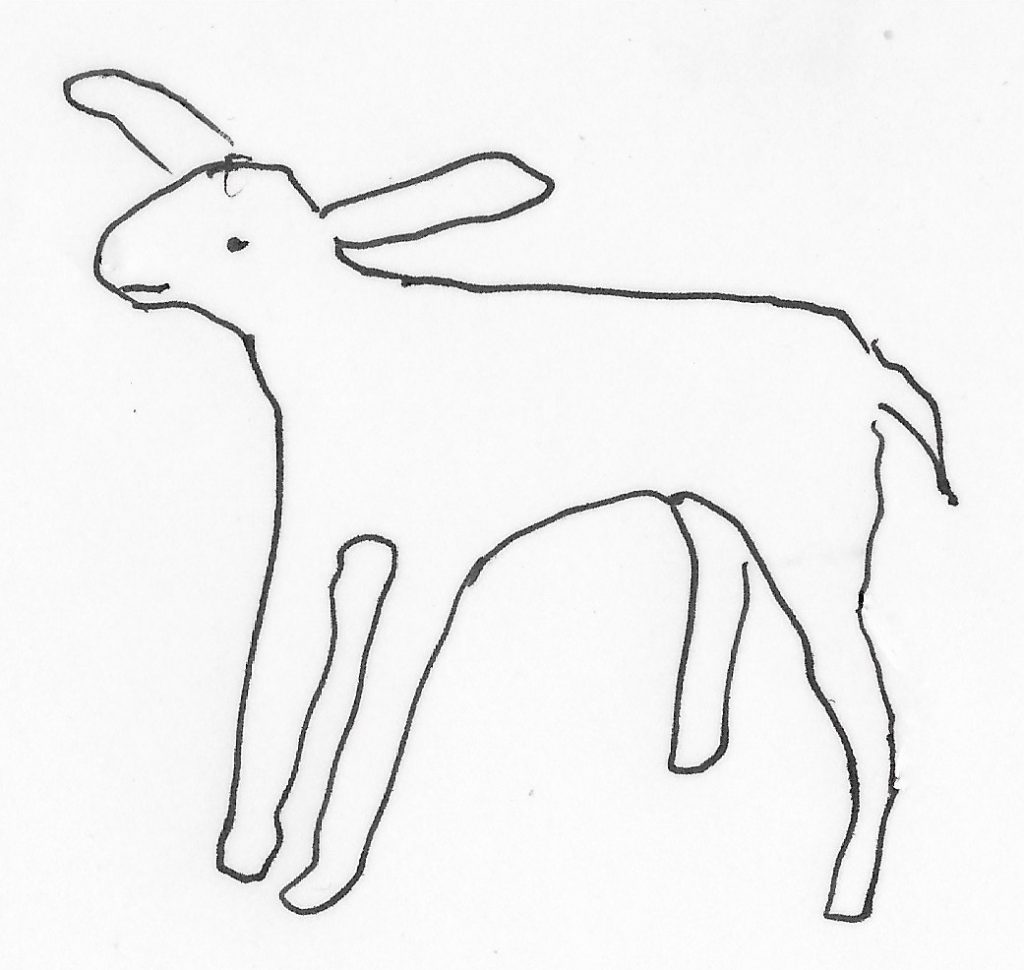 Lamb drawing