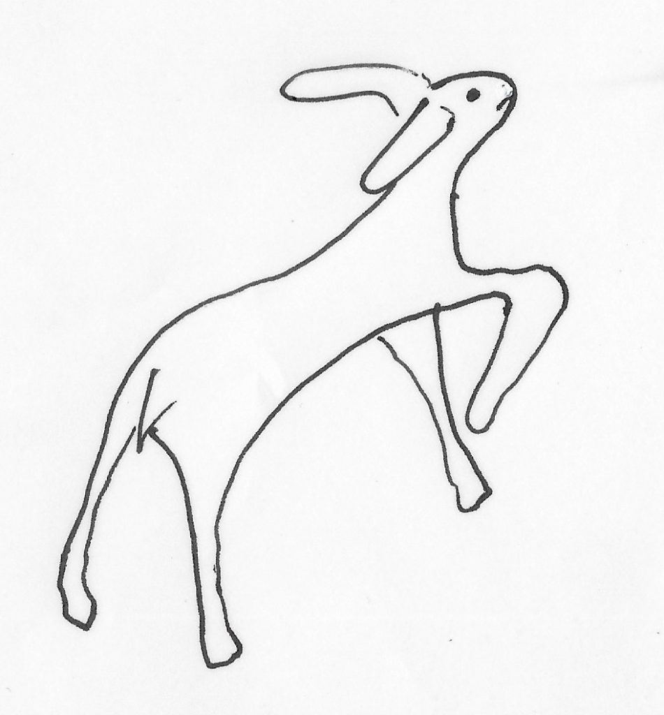 Lamb drawing