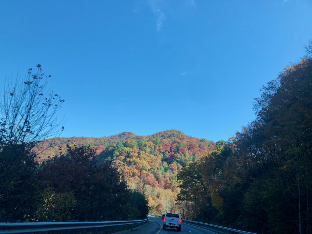 photo of back of truck driving on highway in Pisgah National Forest, Clyde, Tennessee Valley, United States