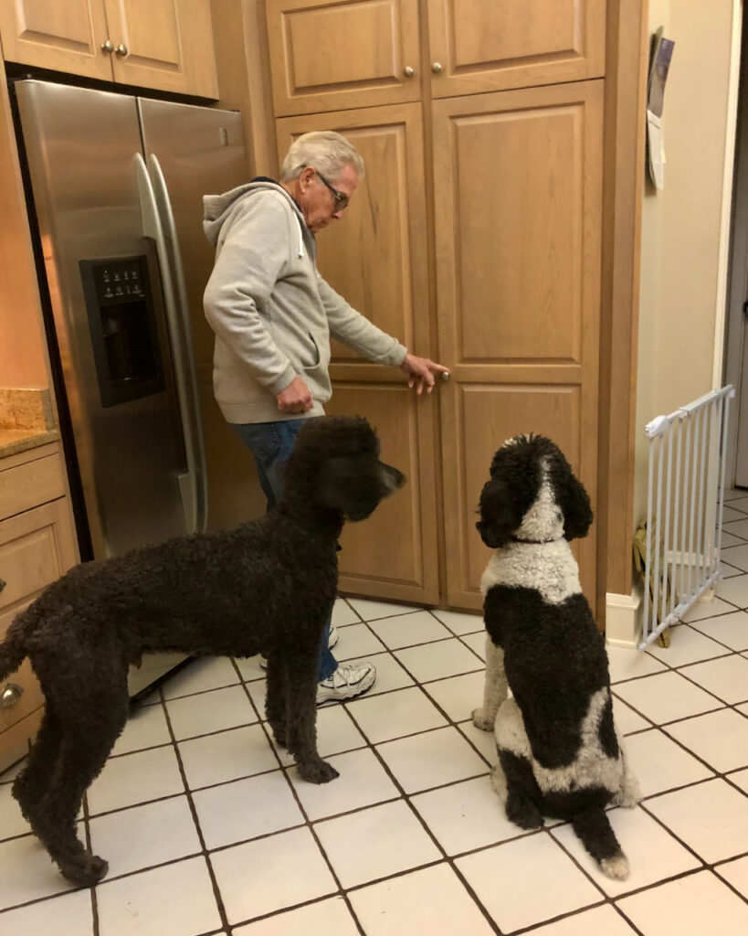 two dogs waiting with master near pantry where treats are kept