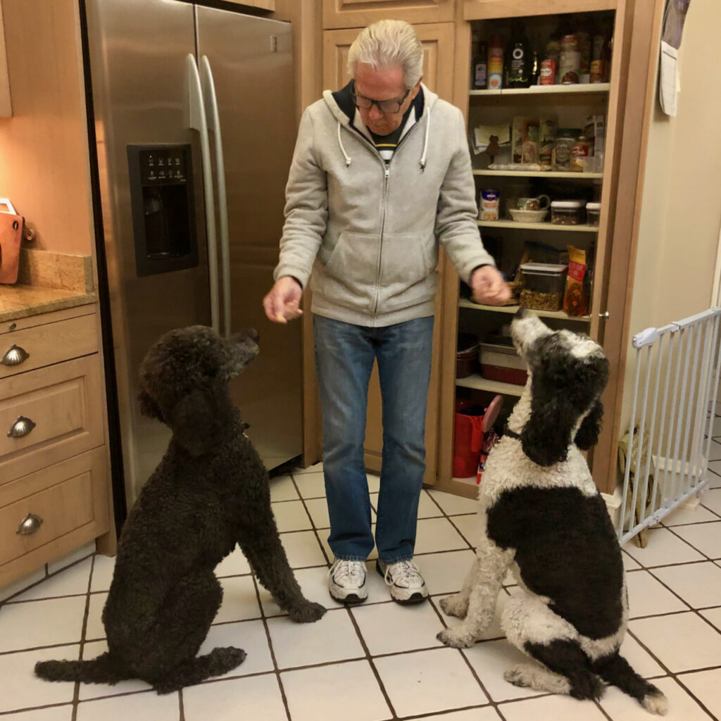 Ringo, Bob with treats, Roxy