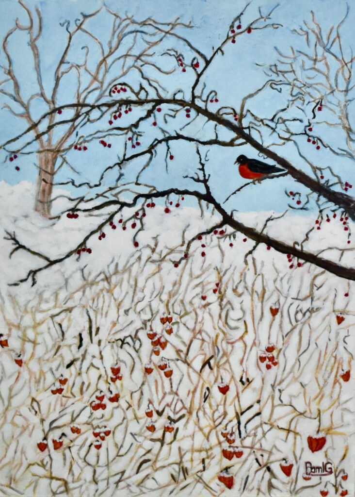 painting of robin on a branch with berries, blue sky and Chinese Lantern plants in the snow below