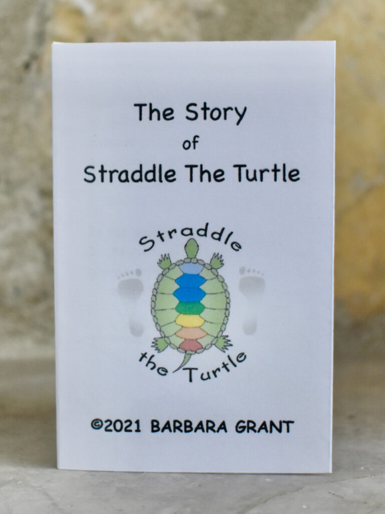 The Story of Straddle the Turtle by Barbara Grant as a zine