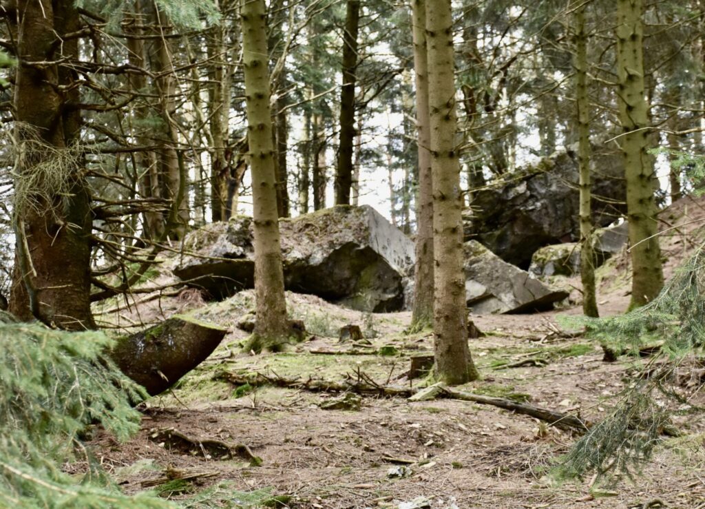 Damaged forrest & bunkers near the Battle of the Bulge