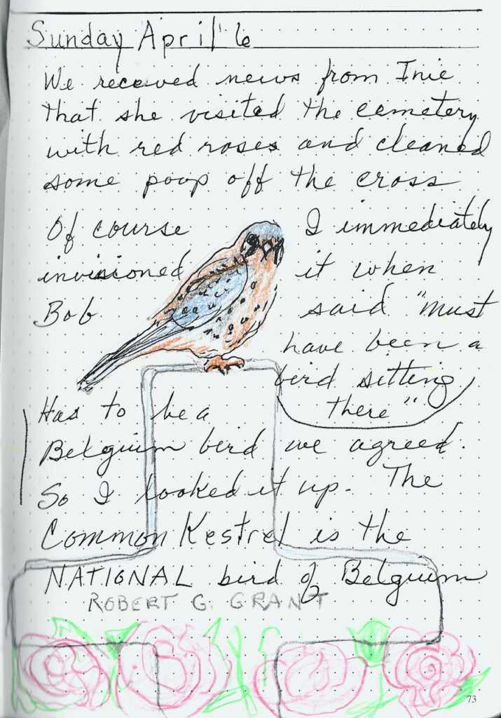drawing of Kestrel sitting on cross